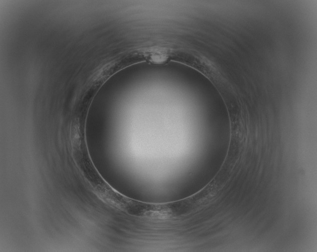 X0000051920548200506241512