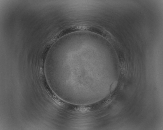 X0000051920553200506241512