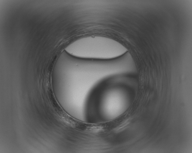 X0000051920554200506241512