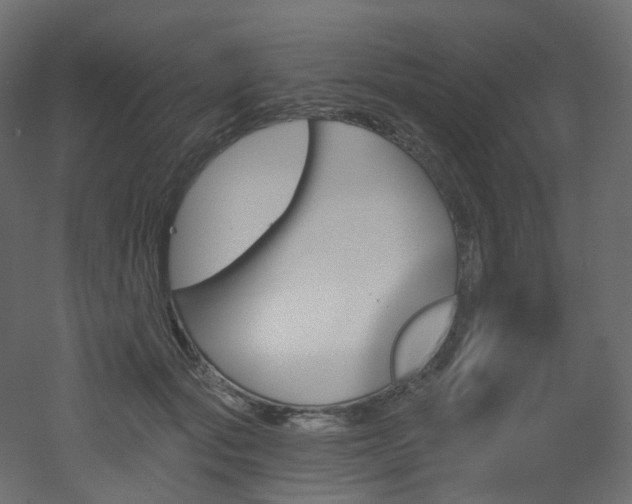 X0000051920557200506241512