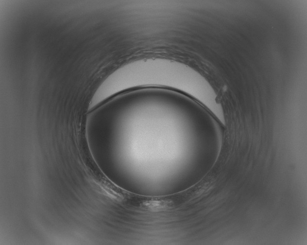X0000051920558200506241512