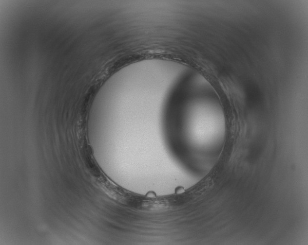 X0000051920559200506241512