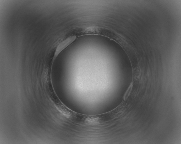 X0000051920560200506241512