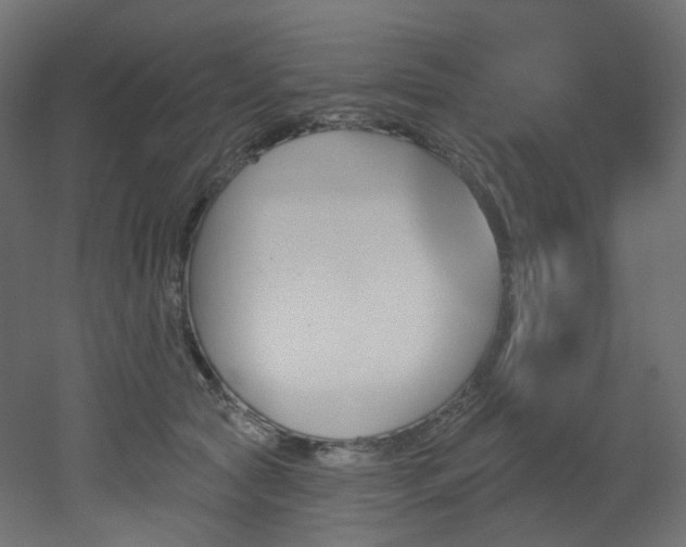 X0000051920561200506241512