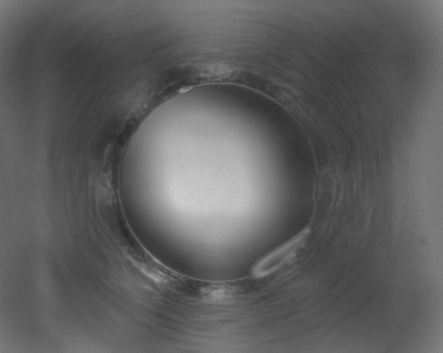 X0000051920564200506241512