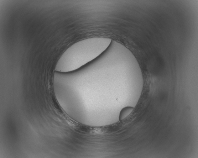 X0000051920565200506241512