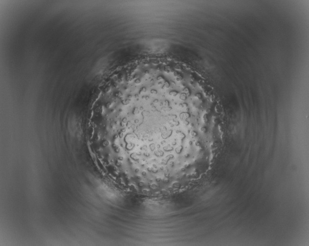 X0000051920568200506241512