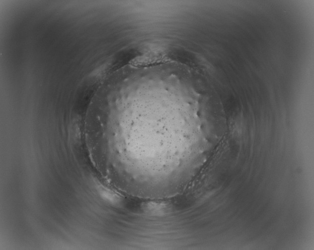 X0000051920570200506241512
