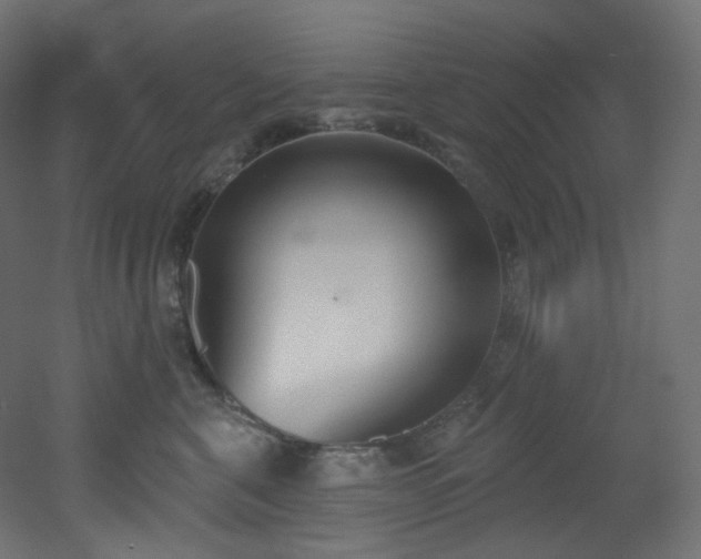 X0000051920571200506241512