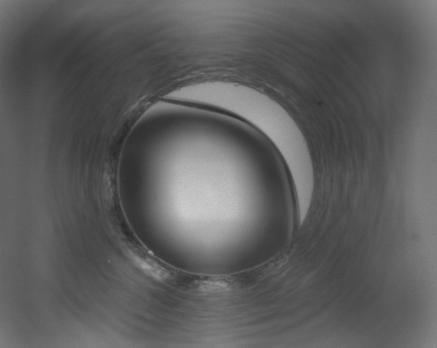 X0000051920572200506241512