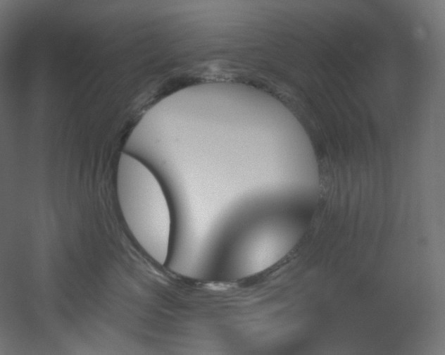 X0000051920573200506241512