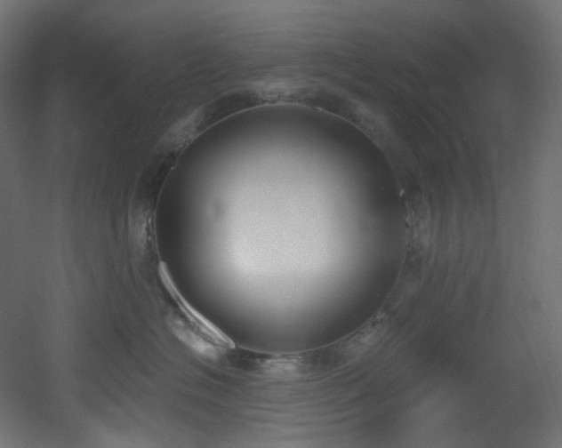 X0000051920574200506241512