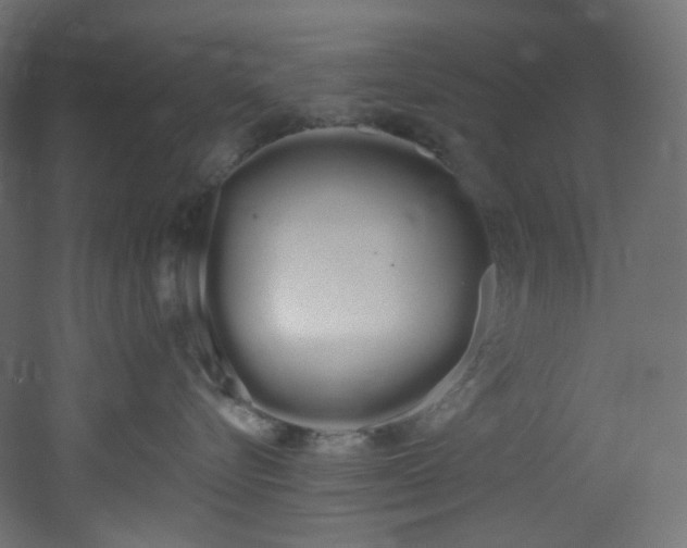 X0000051920576200506241512