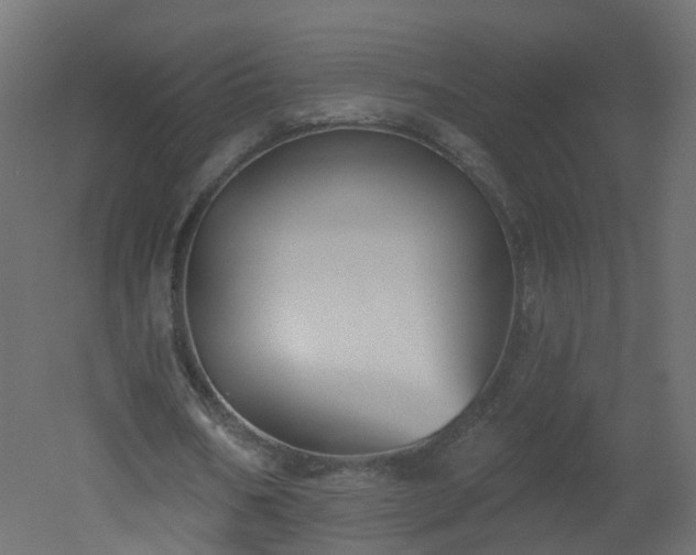 X0000051920578200506241511