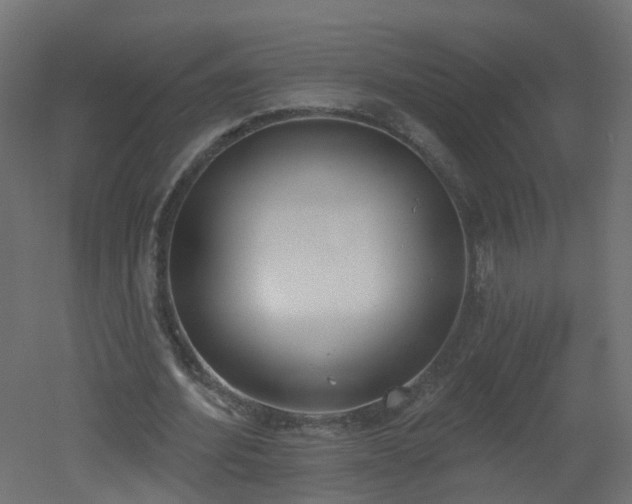 X0000051920580200506241511