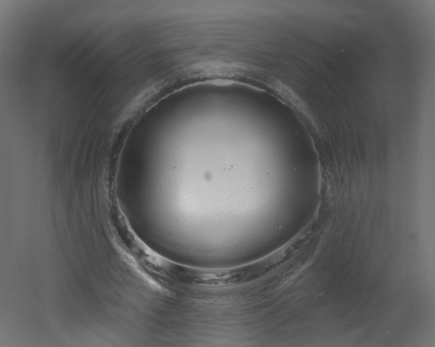 X0000051920581200506241511