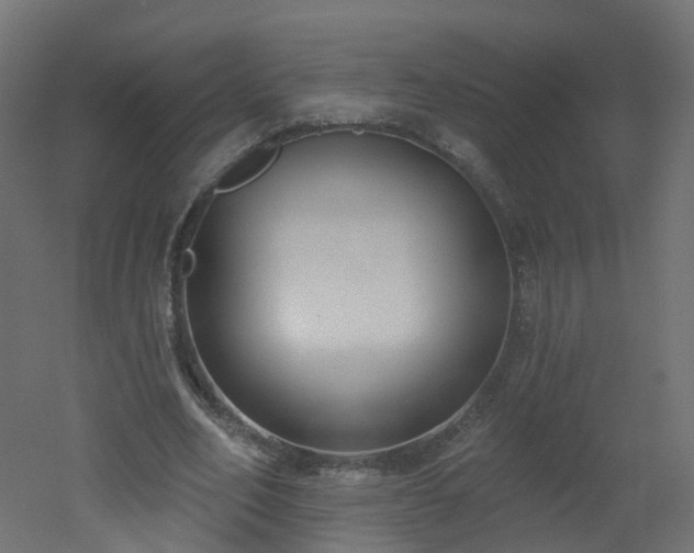 X0000051920582200506241511
