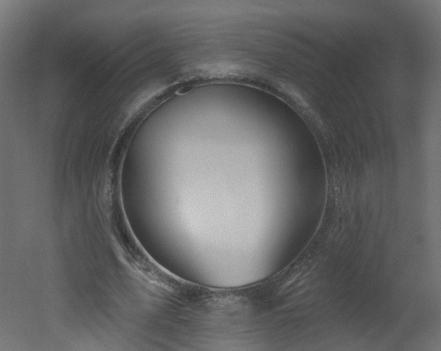 X0000051920583200506241511