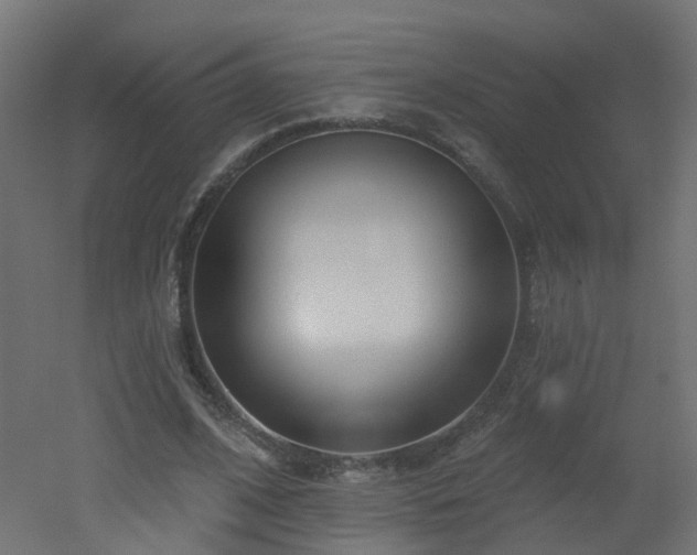 X0000051920584200506241511
