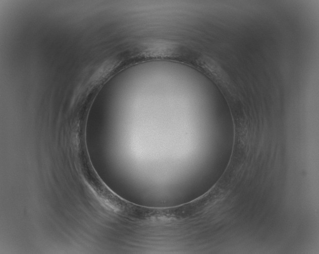X0000051920586200506241511