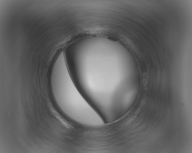 X0000051920589200506241511