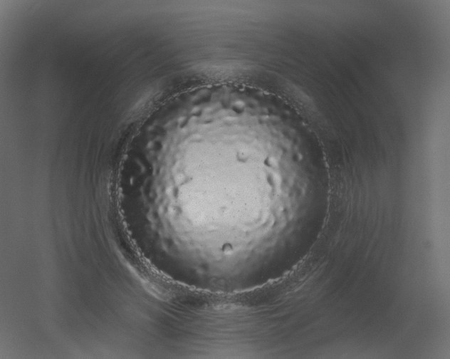 X0000051920590200506241511