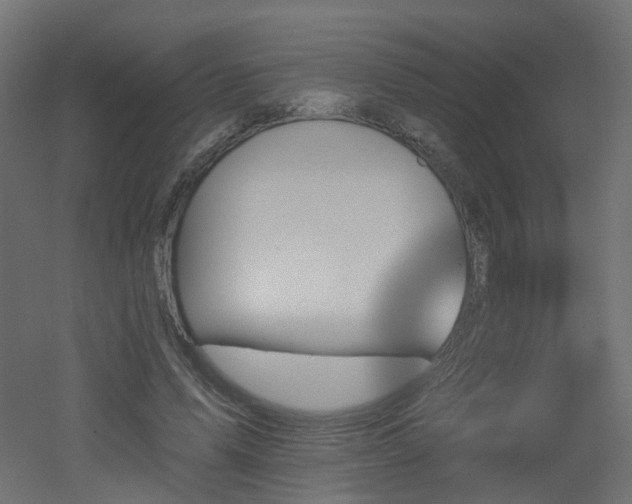 X0000051920591200506241511