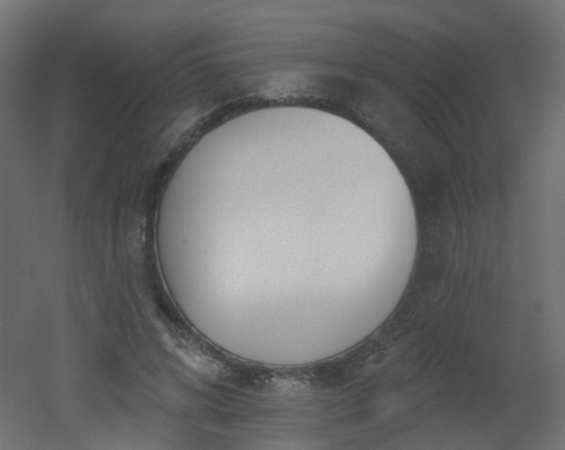 X0000051920592200506241511