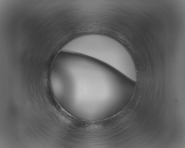 X0000051920593200506241511