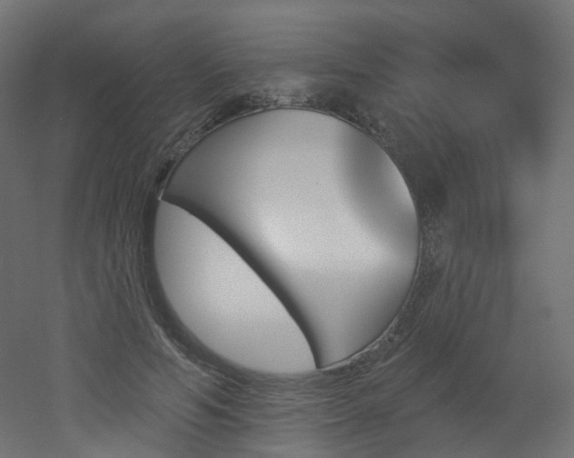 X0000051920594200506241511