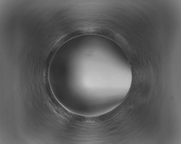 X0000051920596200506241511