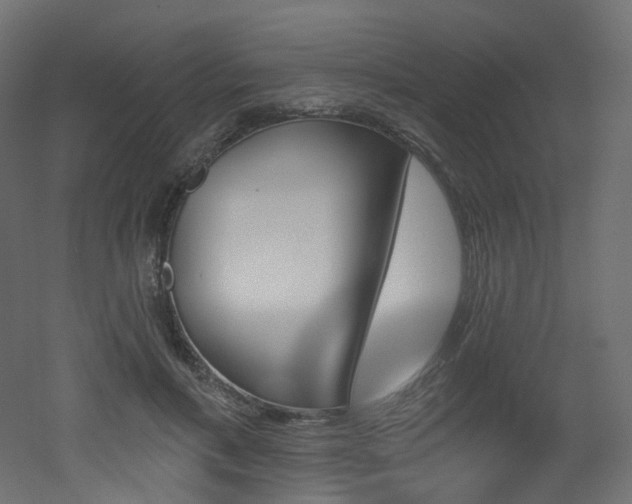 X0000051920597200506241511