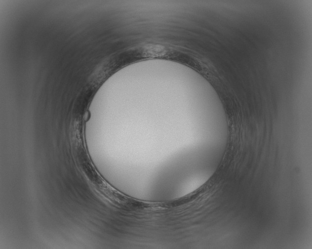 X0000051920598200506241511