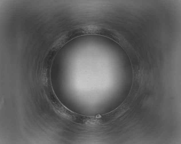 X0000051920599200506241511