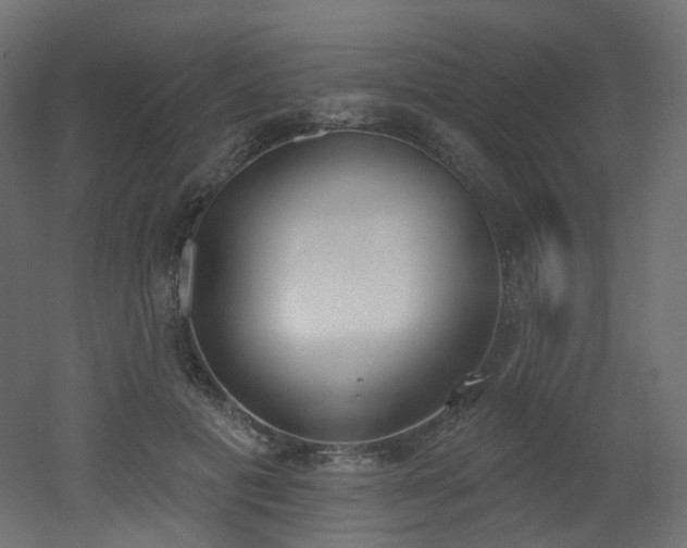 X0000051920601200506241511