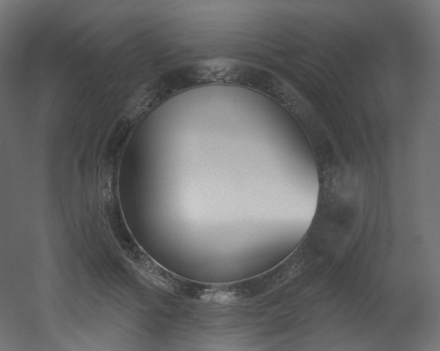 X0000051920602200506241511