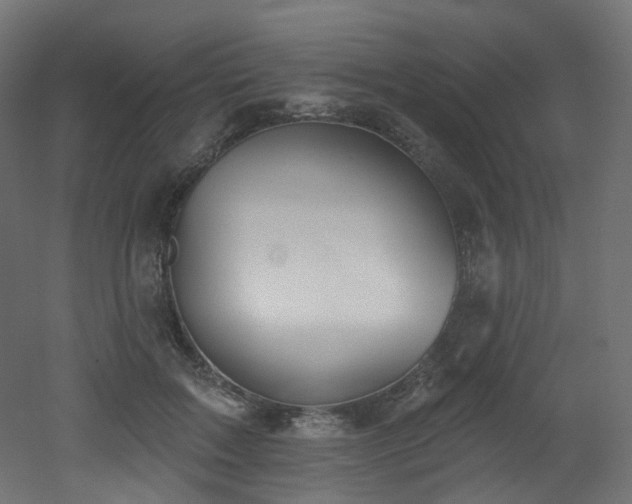 X0000051920603200506241511