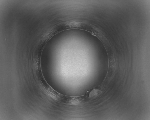 X0000051920604200506241511