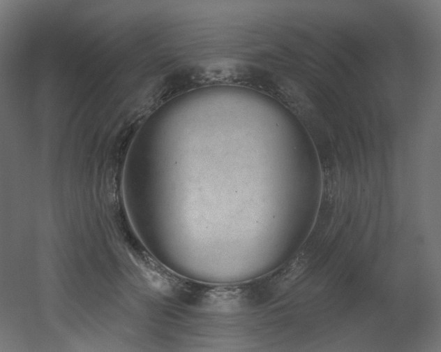 X0000051920606200506241511