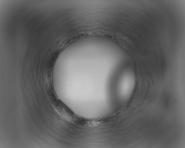 X0000051920607200506241511