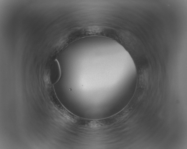 X0000051920608200506241511