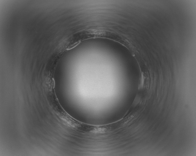 X0000051920609200506241511