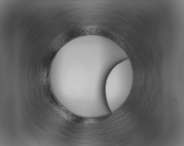 X0000051920610200506241511
