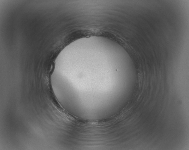 X0000051920613200506241511