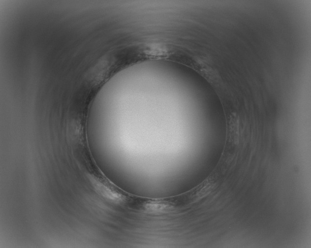 X0000051920614200506241511