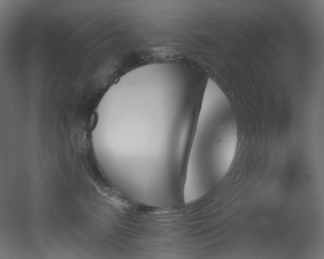 X0000051920615200506241511