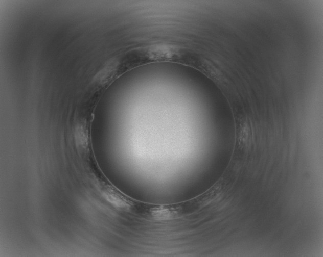 X0000051920616200506241511