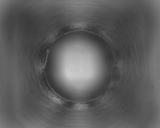 X0000051920617200506241511