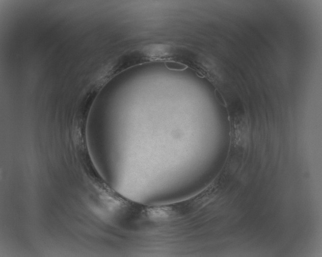 X0000051920618200506241510