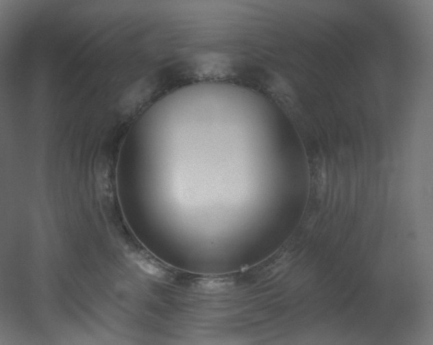 X0000051920619200506241510